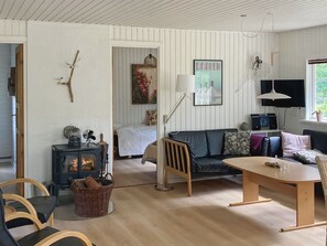 Télévision, cheminée, lecteur de DVD