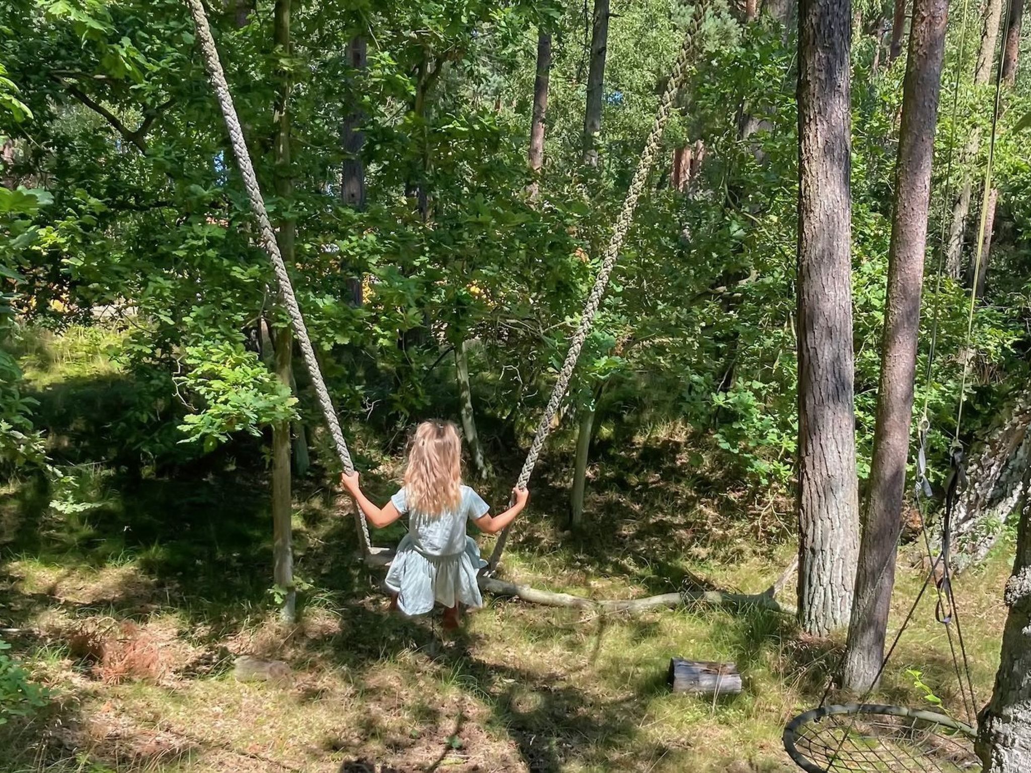 A forested area with a swing set.