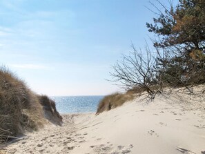 Een zandpad langs het strand dat naar de oceaan leidt, omgeven door schaarse begroeiing en bomen.
