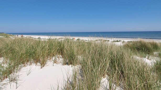 A beach with sand dunes and a clear blue sky.