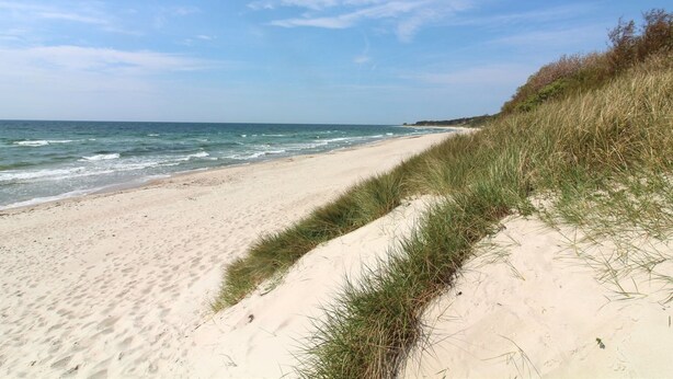 A sandy beach with grass dunes and a clear blue sky.