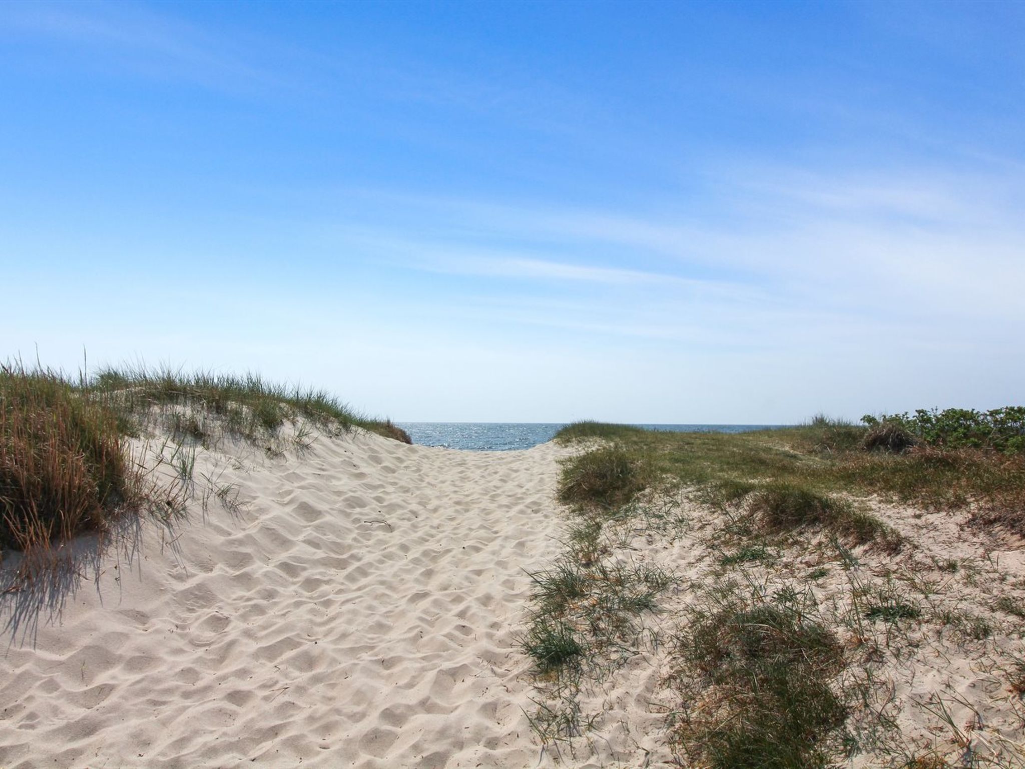 Un camino de arena que lleva al mar, con dunas y vegetación escasa.