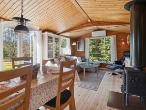 TV, fireplace, DVD player