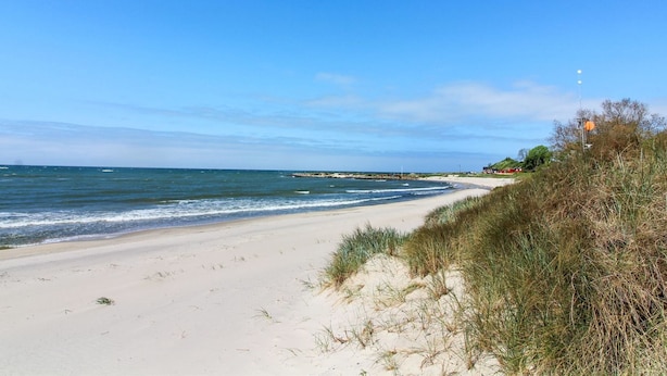 A beach with a clear sky, sandy shore, and some vegetation. - "Bondi" - 150m from the sea by Interhome (Aakirkeby)