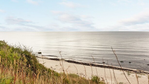 Un paysage côtier caractérisé par une plage de sable, une mer calme et une végétation clairsemée.