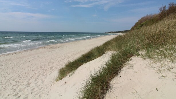 A sandy beach with waves, grassy dunes, and a clear sky.
