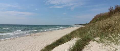 Ranta