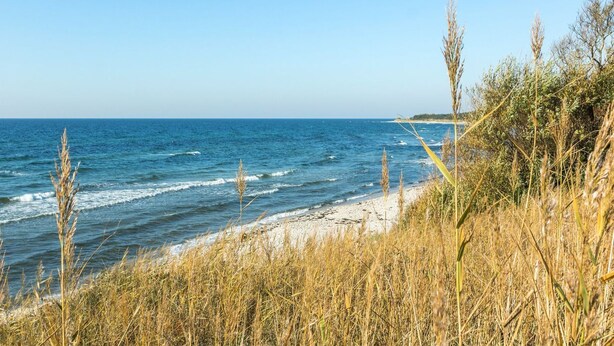 A beach with clear blue water and sandy shore, surrounded by tall grasses. - "Kajsa" - 50m from the sea by Interhome (Aakirkeby)