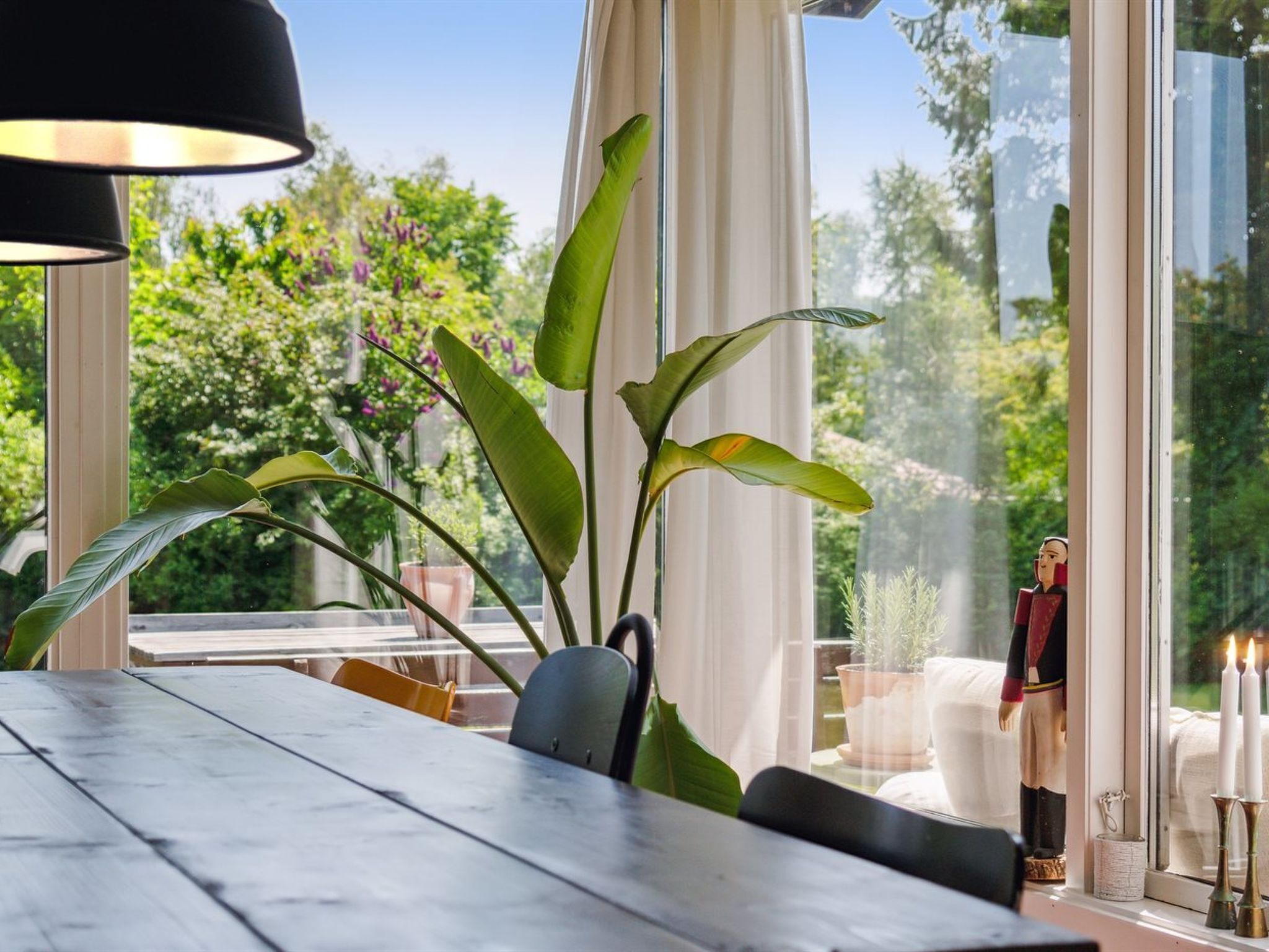 A dining area with a wooden table, chairs, and a large plant.