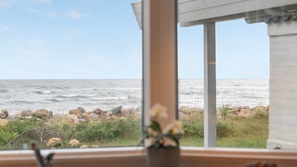 Näköala merelle ikkunan kautta, näkyvissä kivinen rantaviiva ja ikkunalaudalla ruukkuistutettu kasvi.