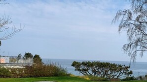 Eine begrünte Fläche mit Blick auf das Meer, ein Baum und ein Gebäude mit Glasbalkon.