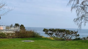 Un espace verdoyant avec vue sur la mer, un arbre et un bâtiment doté d’un balcon en verre.