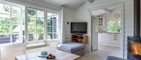 Televisie, een open haard en een dvd-speler