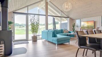 Télévision, cheminée, lecteur de DVD