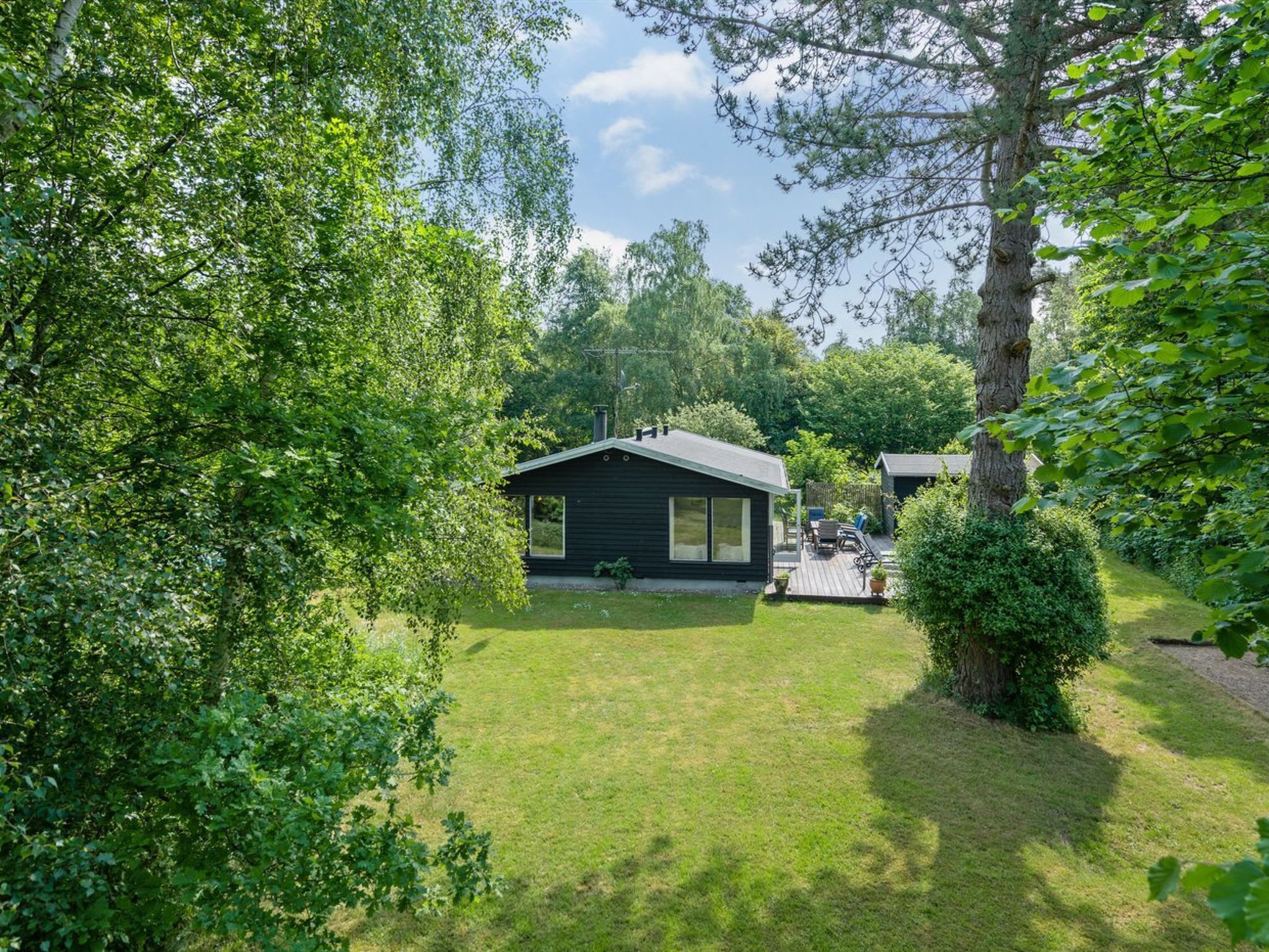 A secluded cabin with a deck, surrounded by lush greenery and trees.
