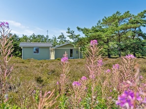 Udendørsområde