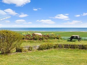 Relax by the ocean with a hammock and picnic table in a serene, landscaped setting.