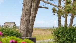 A coastal landscape with a large tree, a small building, and a view of the sea.
