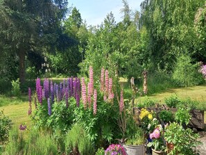 A garden with various plants and flowers, a pond, and a wooden structure.