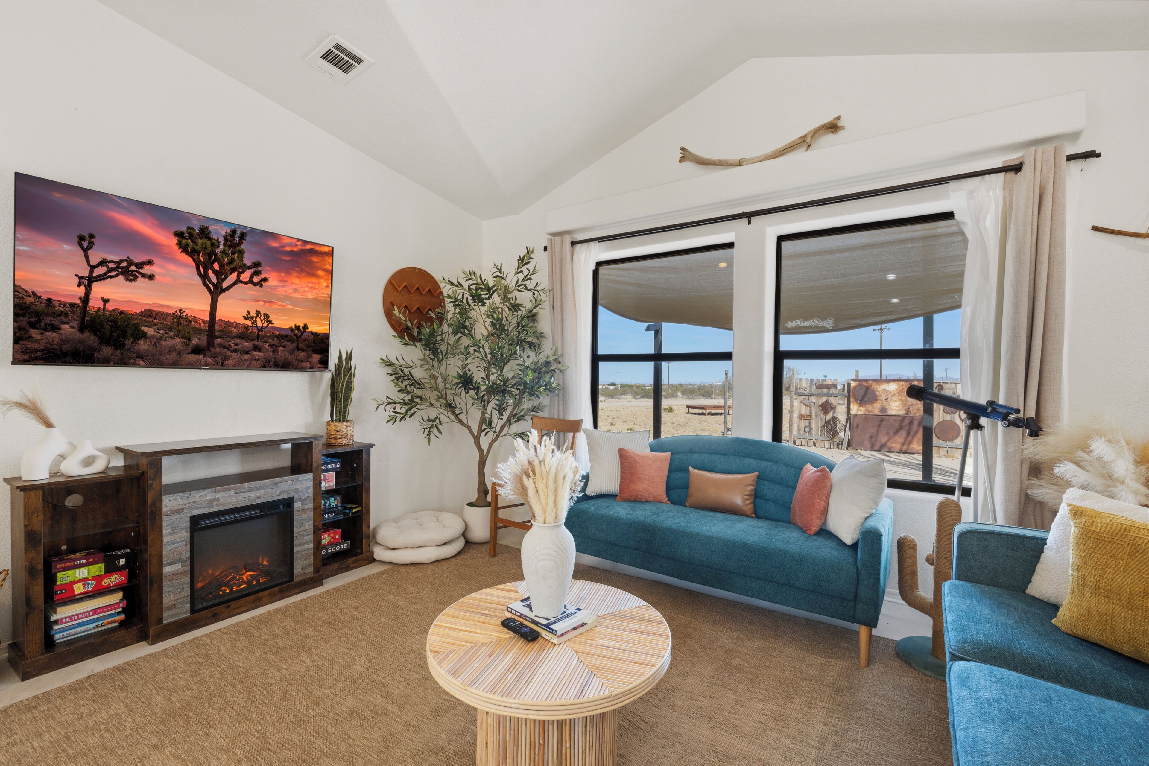 Smart TV, fireplace, books