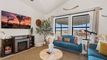 Smart TV, fireplace, books