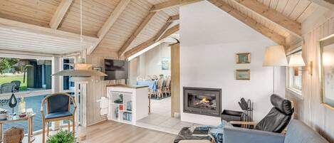 TV, fireplace, DVD player