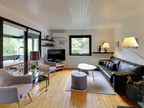 Fernseher, Kamin, DVD-Player