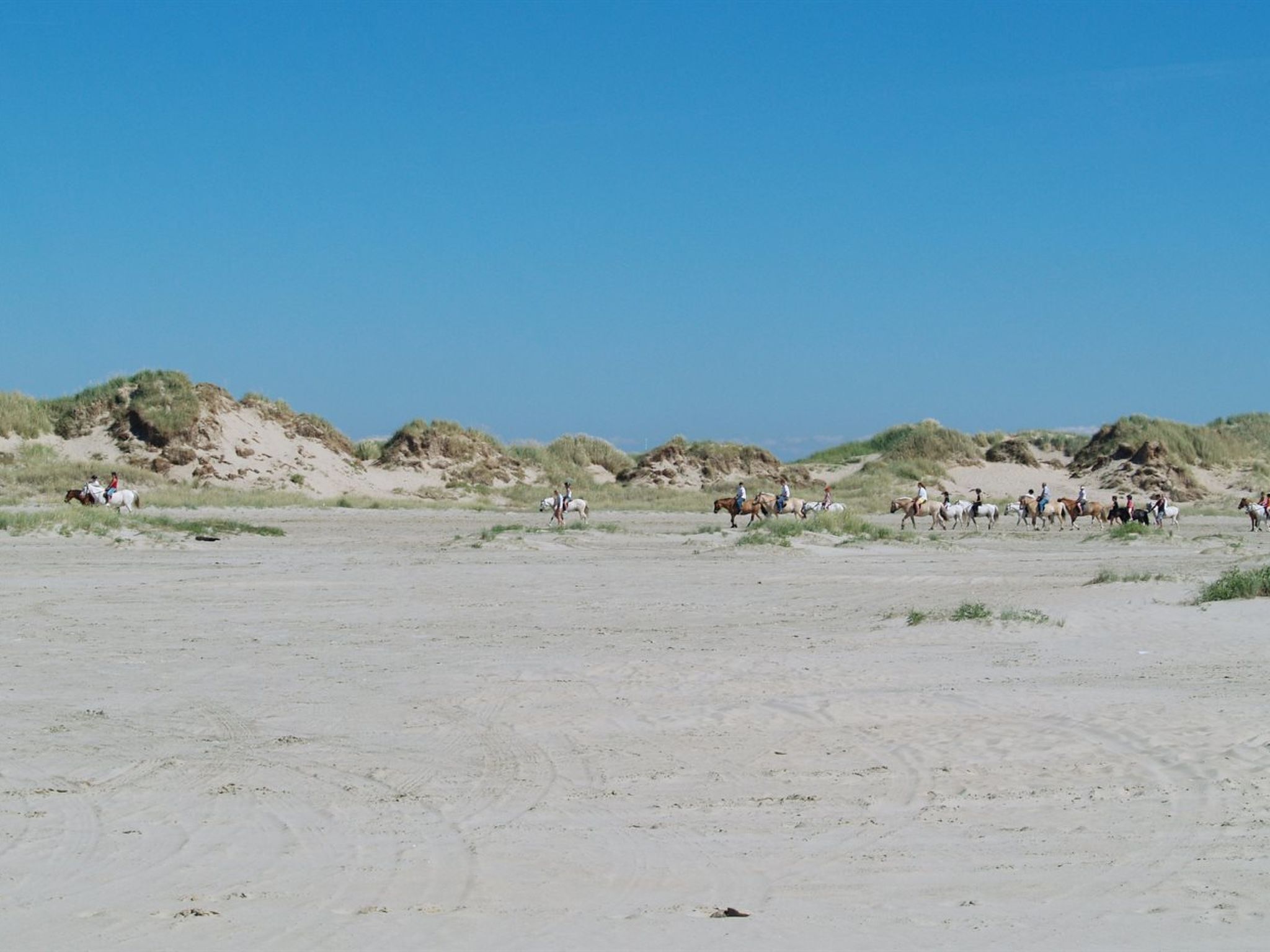 Une plage de sable avec des dunes et un groupe de personnes à cheval.