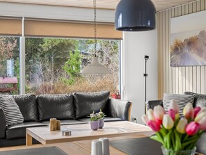 Fernseher, Kamin