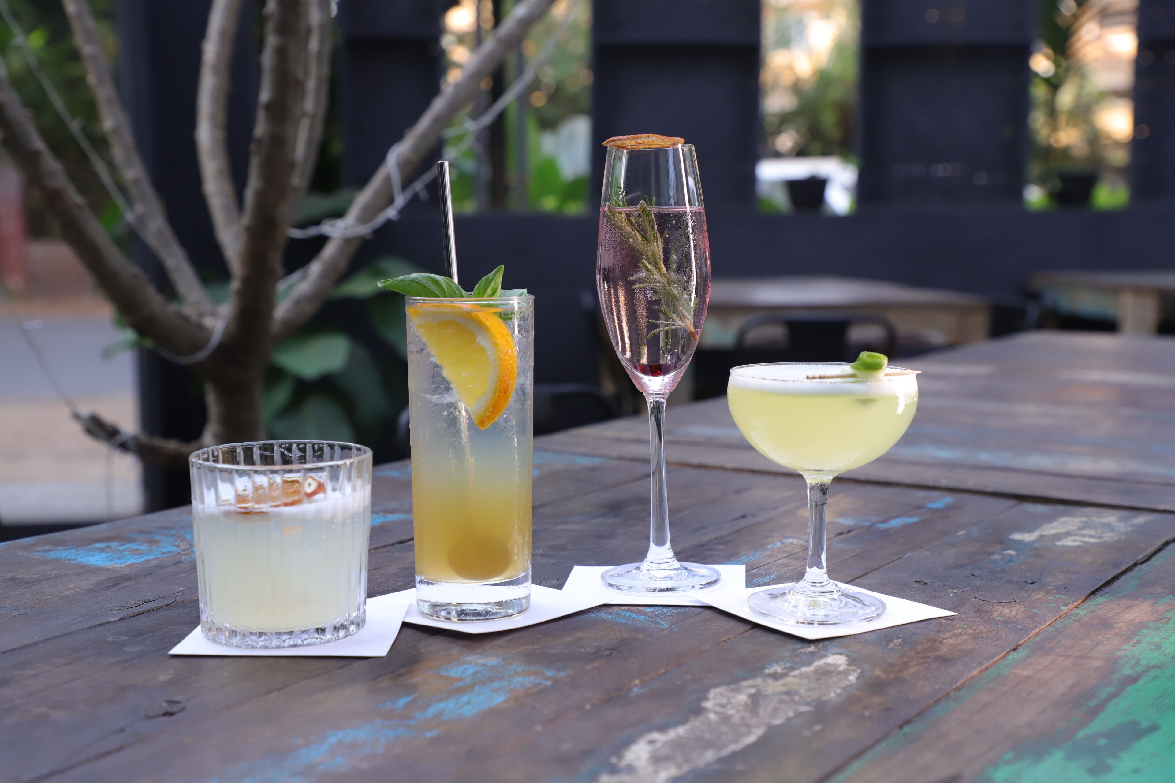 Foto - Red Thread Calangute