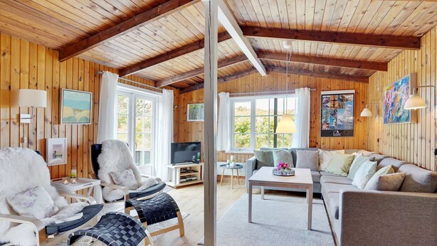 A cozy cabin interior with a wooden ceiling, a sofa, a chair, a TV, and a window with a view of greenery. - "Stefana" - 200m from the sea by Interhome (Fanø)