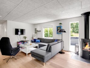 TV, fireplace, DVD player