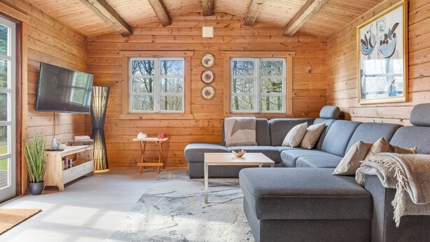 Ein Interieur einer Blockhütte mit einem grauen Sofa, einem Fernseher und einem Gemälde an der Wand.