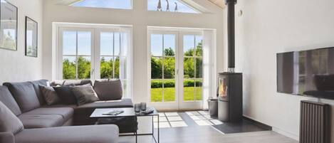 Télévision, cheminée, lecteur de DVD