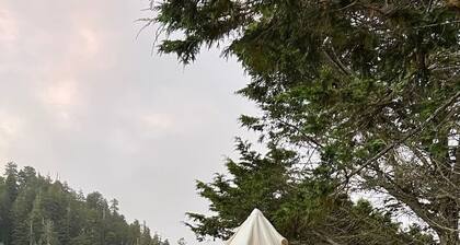 Glamping tent by the river