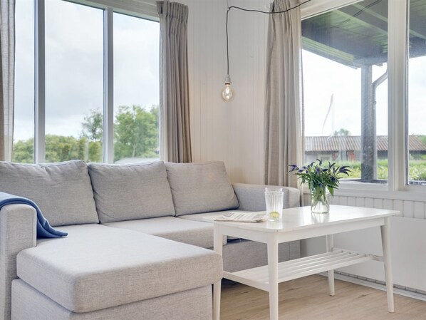 Televisión, chimenea y reproductor de DVD 