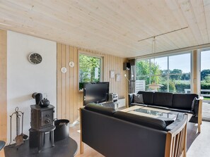 TV, fireplace, DVD player