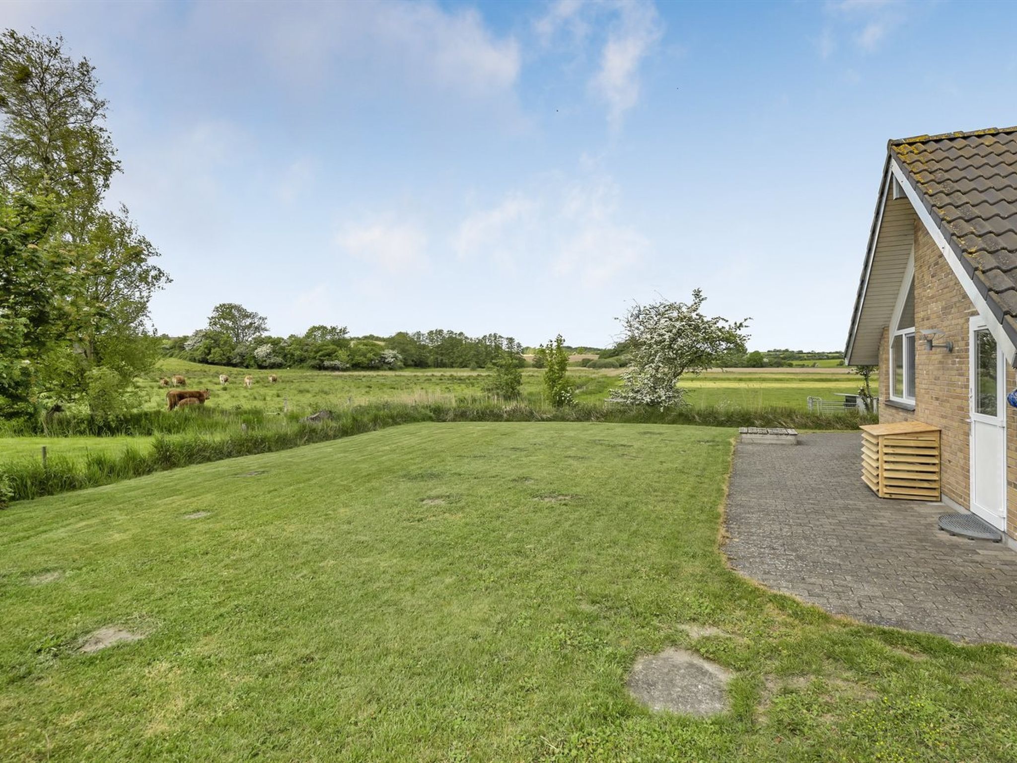A grassy area with a building on the right, a paved path leading to the entrance, and cows grazing in the background.