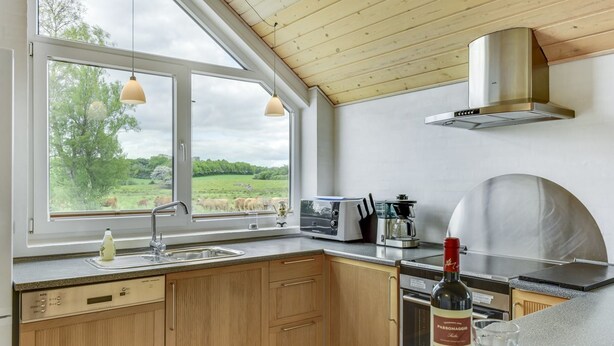 A modern kitchen with wooden cabinets, a built-in oven, a coffee maker, and a wine bottle. - "Sigbritt" - 100m from the sea by Interhome (Broager)