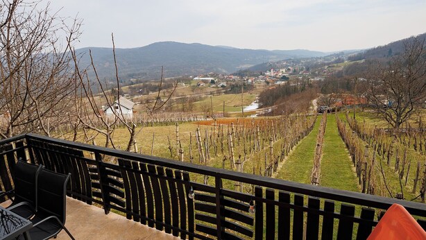 A terrace with a view of a vineyard and a town in the distance. - Vineyard cottage Cvitkovič (Crnomelj)