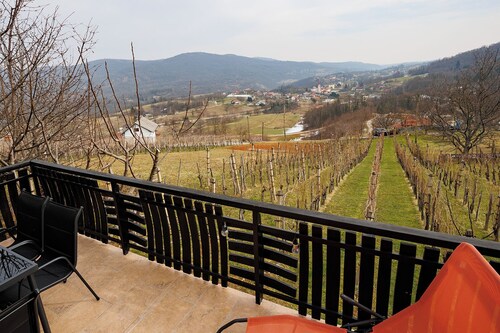 Vineyard cottage Cvitkovič