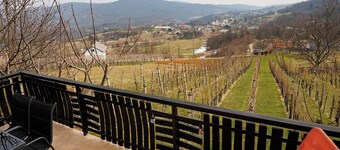 Vineyard cottage Cvitkovič