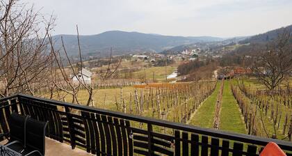 Vineyard cottage CvitkoviÄ