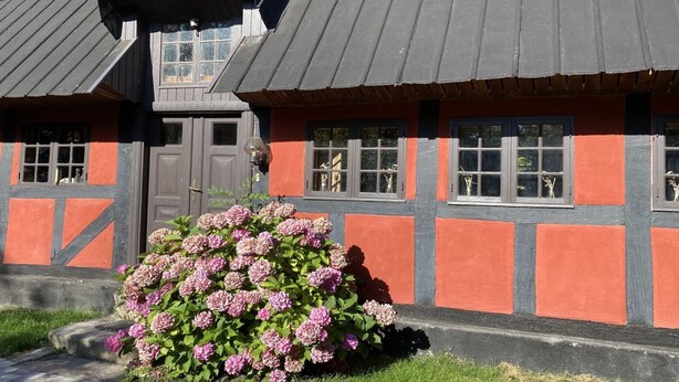 A traditional building with a sloped roof and a small garden with pink flowers. - "Elvin" - 2.7km from the sea by Interhome (Humble)
