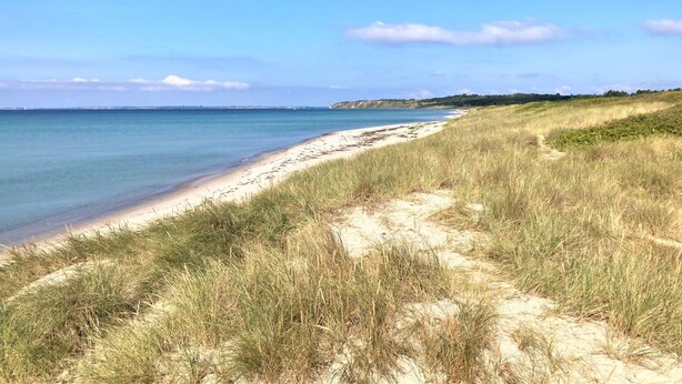 A beach with a clear sky, sandy shore, and grassy dunes.