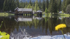 A cabin with a dock extending into a lake, surrounded by dense forest and mountains.