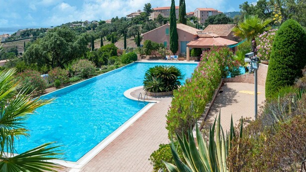 Una piscina rectangular con solárium empedrado, rodeada de abundante vegetación y un cielo despejado.