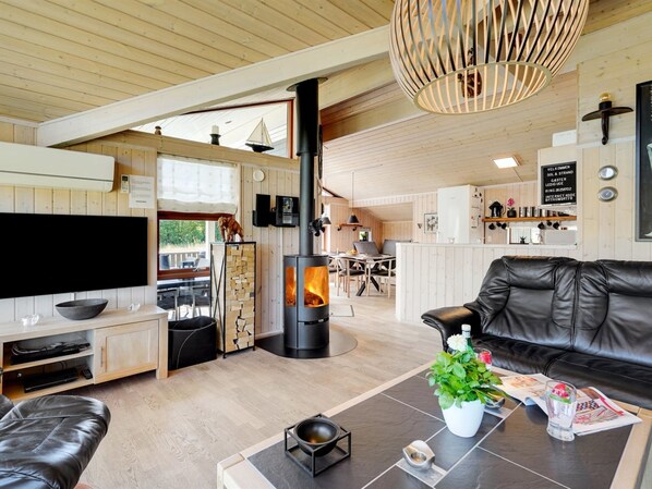 TV, fireplace, DVD player