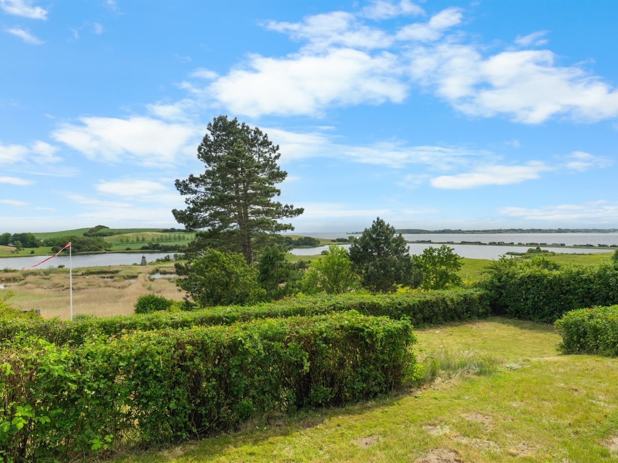 A grassy area with a large tree and a body of water in the background.