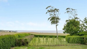 A grassy field with a row of trees and a hedge.